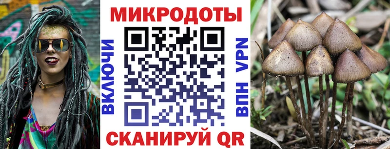 купить наркотик  Курчатов  Галлюциногенные грибы GOLDEN TEACHER 