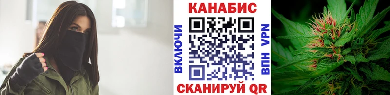 цена наркотик  Курчатов  Каннабис планчик 
